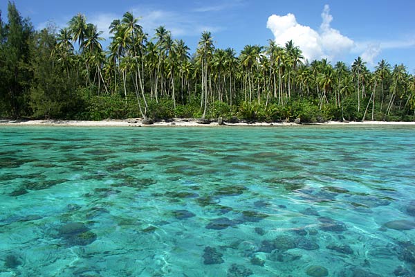 Shipwrecked: desert island