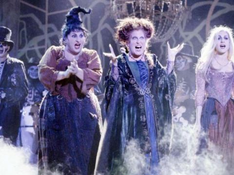 Hocus Pocus party