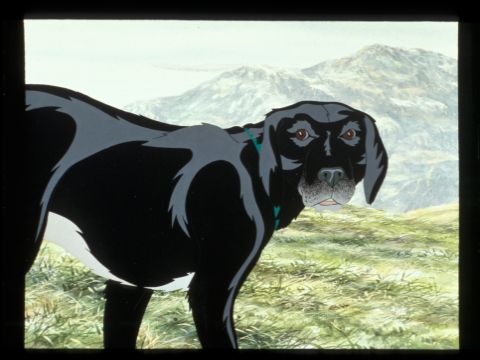 Plague Dogs