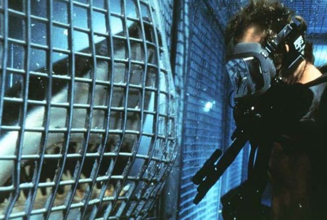 Renny Harlin trying to keep a critic at bay