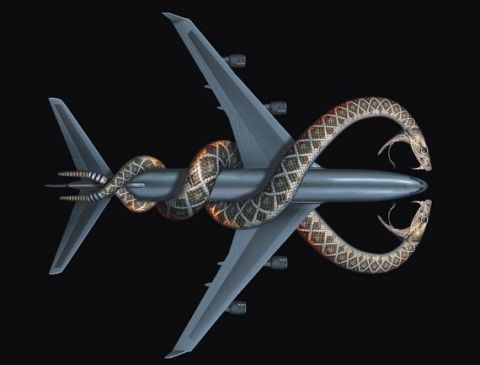 Snakes on a Plane
