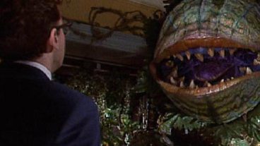 Excuse me, Seymour, but I'm feeling a bit peckish...