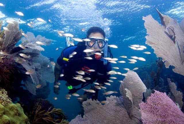 Will viewers vote how many minutes of oxygen BBC Natural History Units get on their first dive?