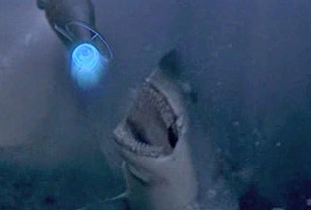 A pretty toothless CGI shark from Escape From L.A. (1996)