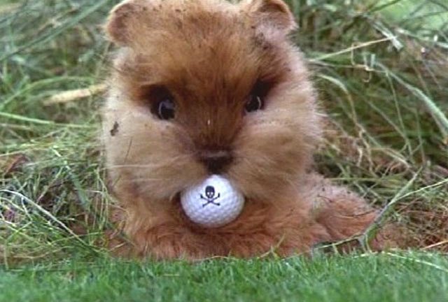 The evil villain of Caddyshack.