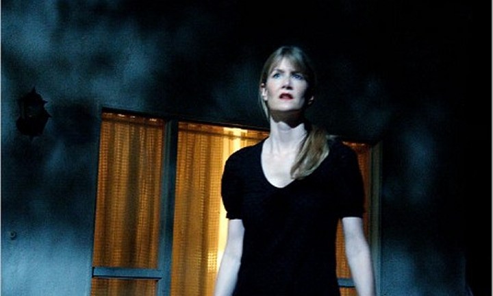 David Lynch's Inland Empire