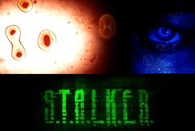 Stalker