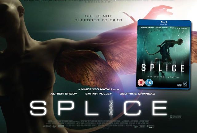 Splice