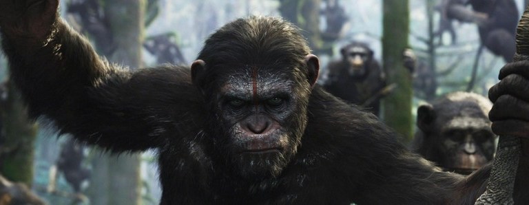 Dawn of the Planet of the Apes Review
