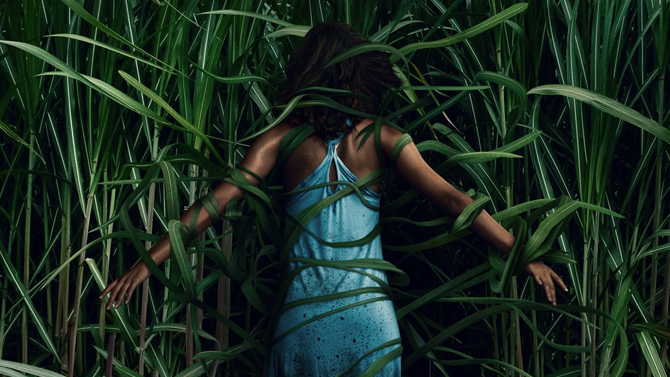 In The Tall Grass Release Date And Trailer For Netflix Stephen King Joe Hill Movie Den Of Geek