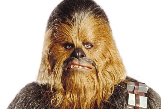 Get yourself a Chewy outfit...