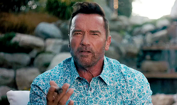 Arnold Schwarzenegger in The Expendables