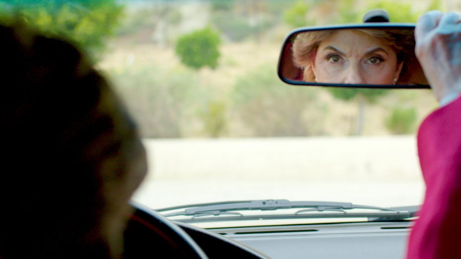 Netflix Documentaries - Seeing Allred