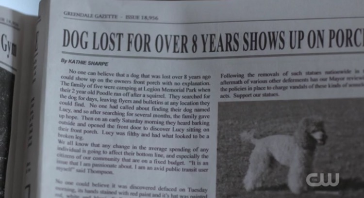 Dog Lost For Over 8 Years newspapaer headline