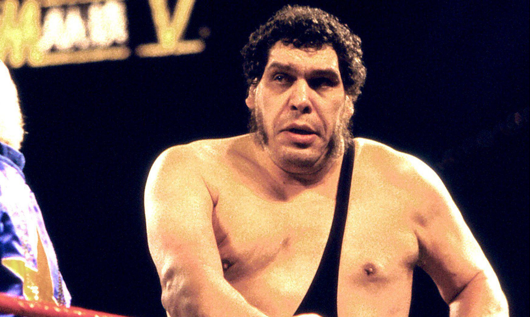 Best Documentaries Andre the Giant