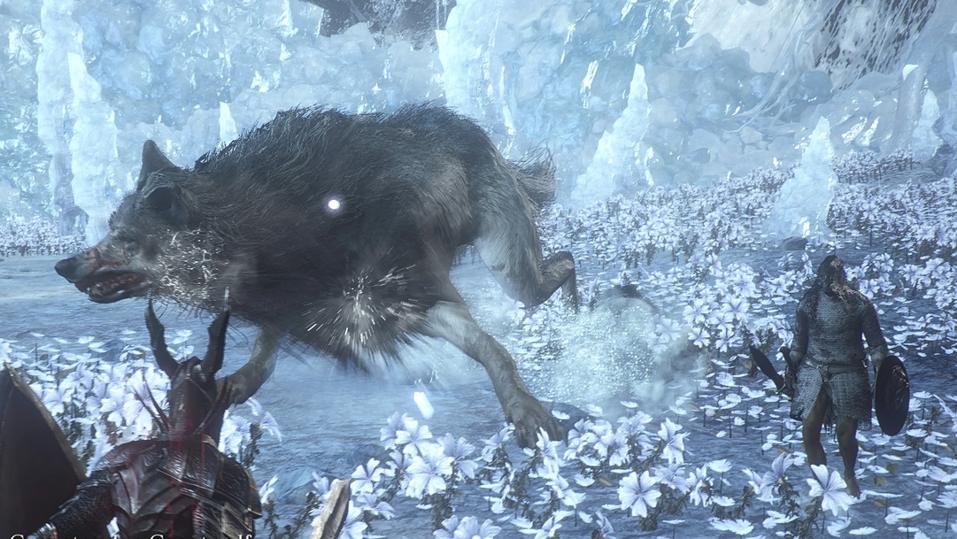 Dark Soul Bosses Gravetender Champion & Gravetender Wolf