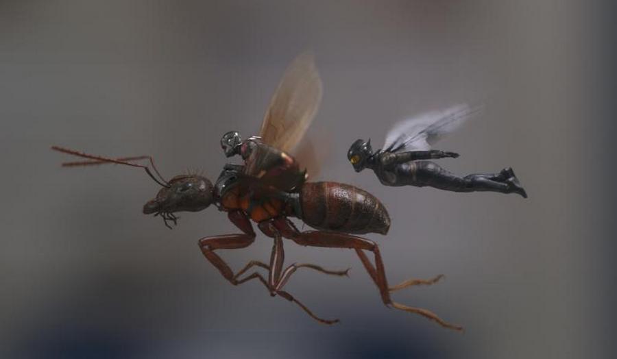 Ant-Man and The Wasp