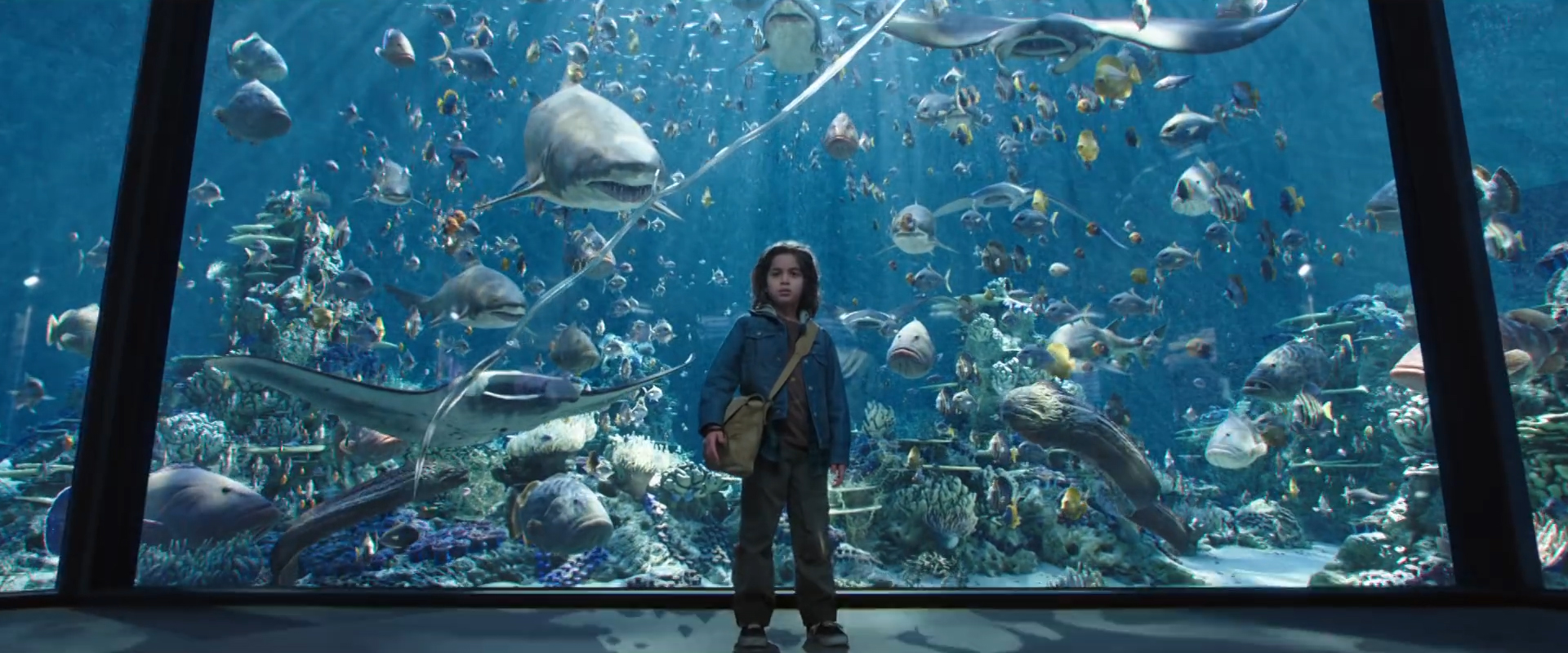 Young Arthur in an aquarium