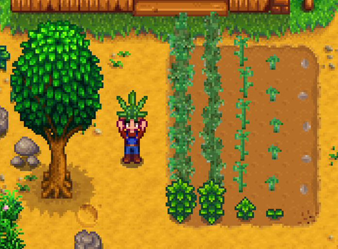 stardew valley buy