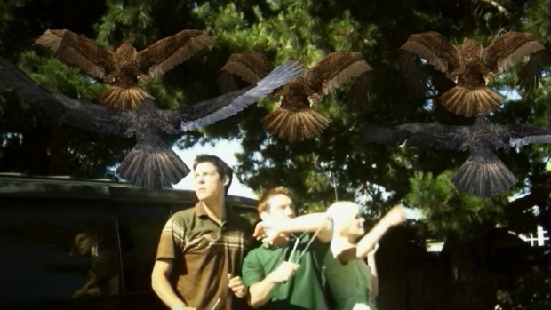 BIRDEMIC: SHOCK AND TERROR
