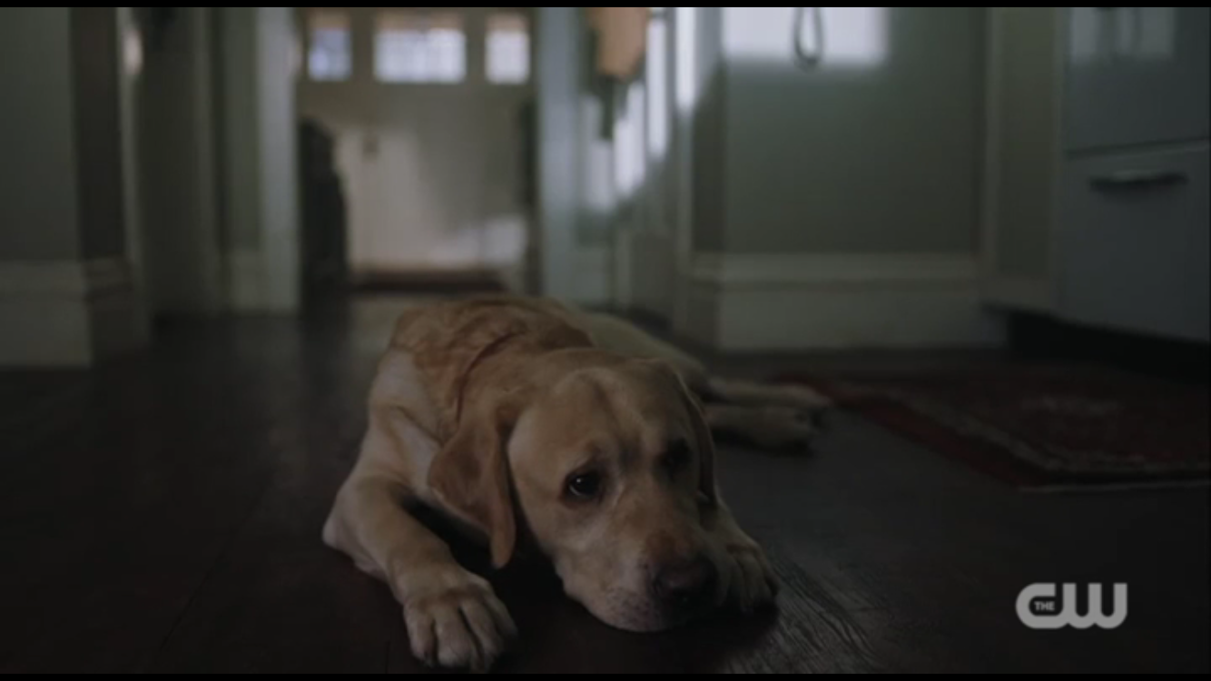 Sad Vegas on Riverdale