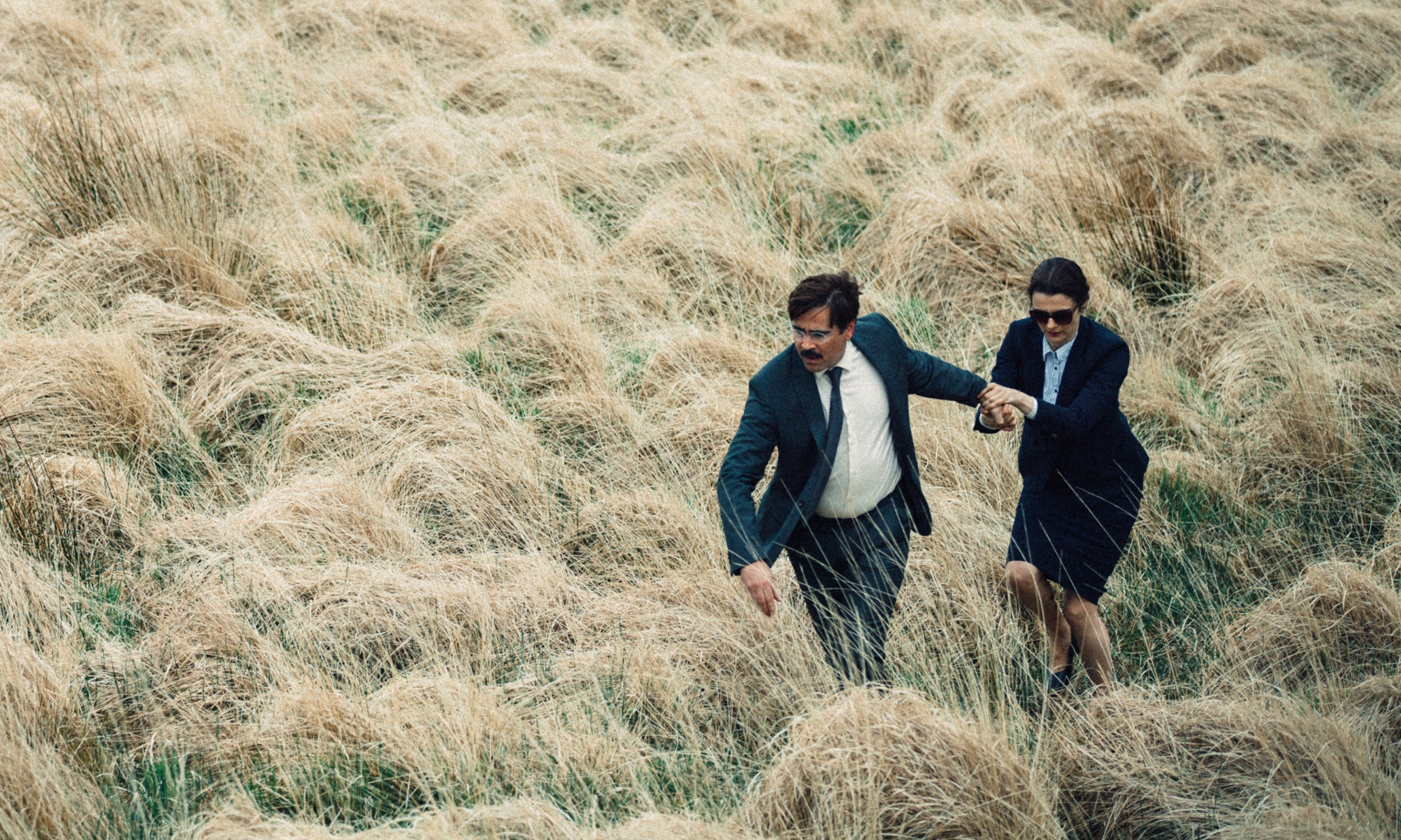 Netflix Movies - The Lobster
