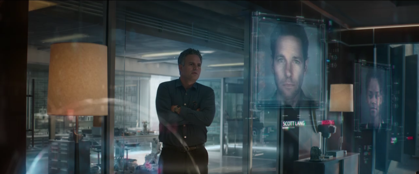 Avengers: Endgame - Bruce Banner