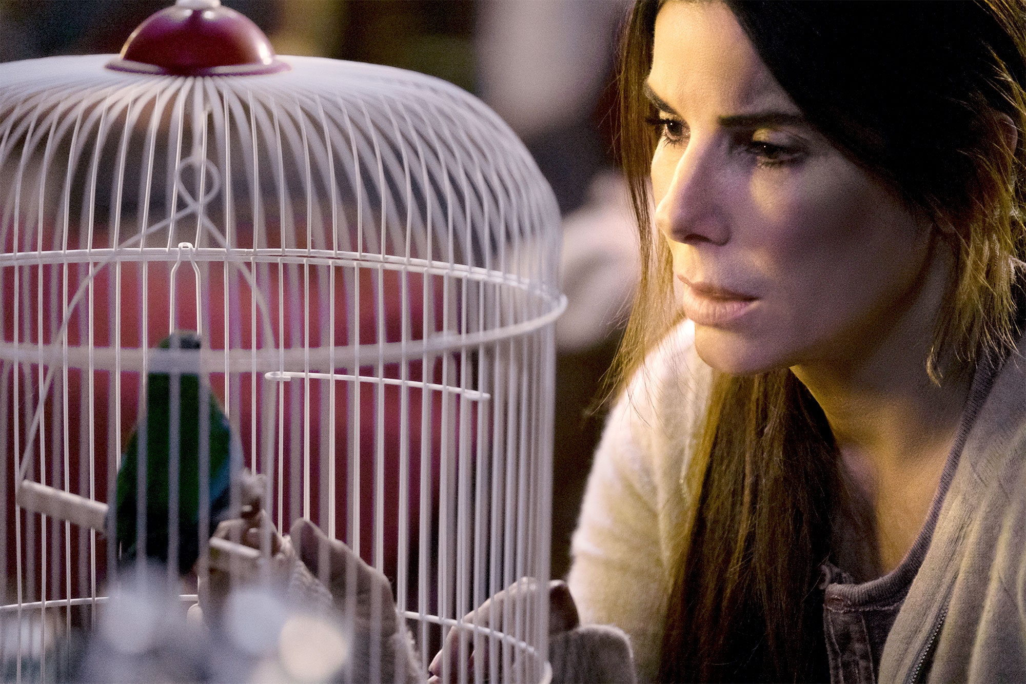 Bird Box Netflix S Sandra Bullock Thriller Explained Vogue
