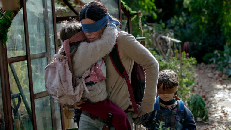 Bird Box Challenge Netflix Warns