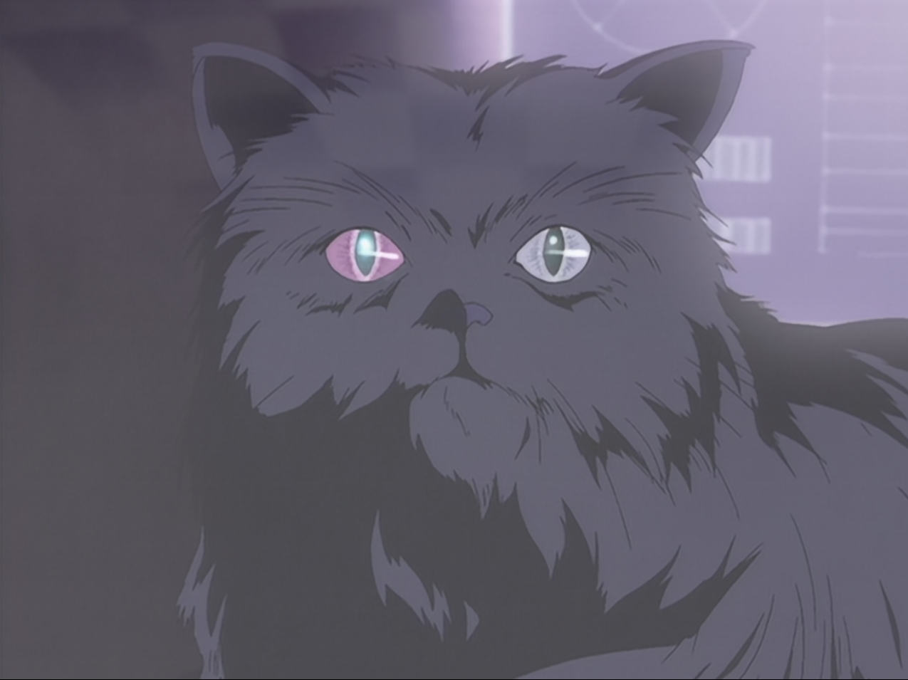 Cowboy Bebop Episode, âPierrot le Fouâ