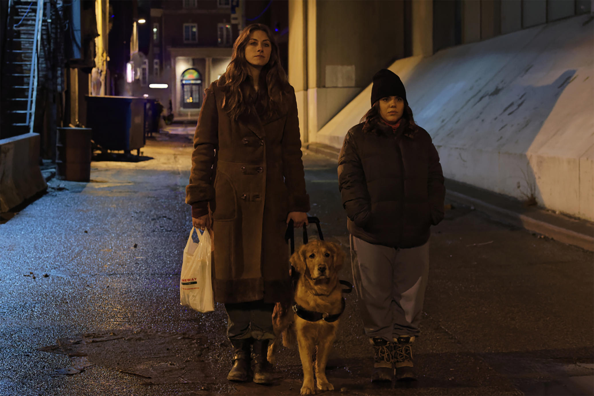 In The Dark Season 2 Confirmed Den Of Geek