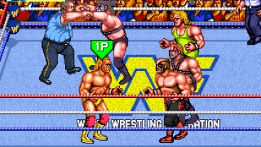 WWF Wrestlefest
