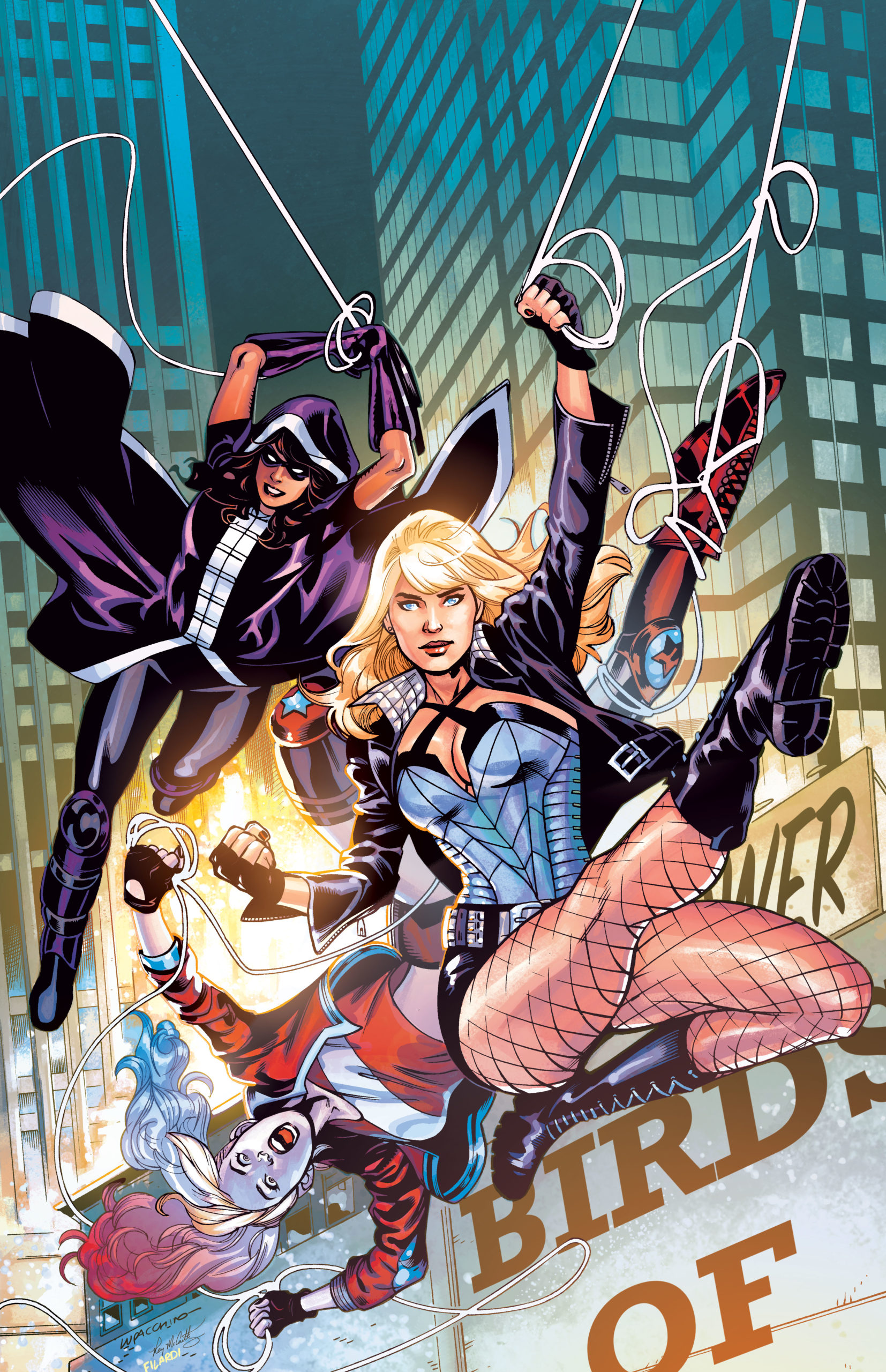 birds of prey book images birds of prey book images