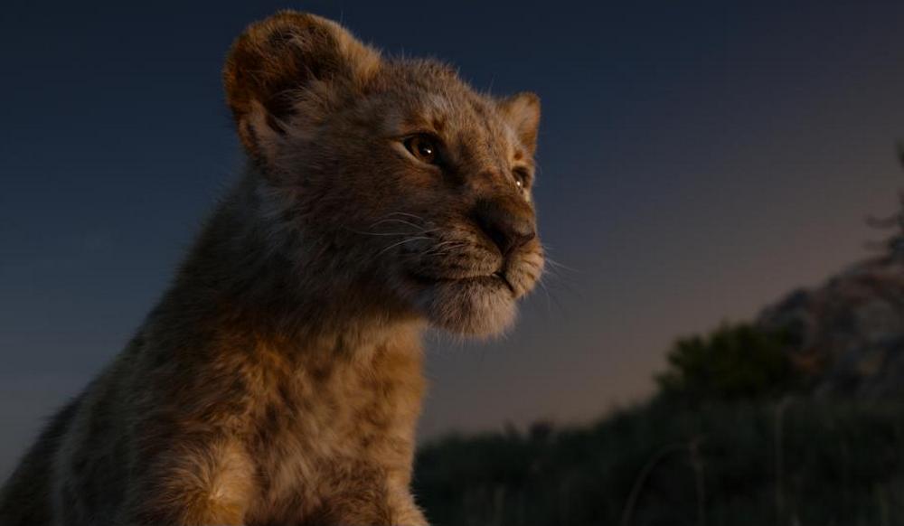 Simba in The Lion King