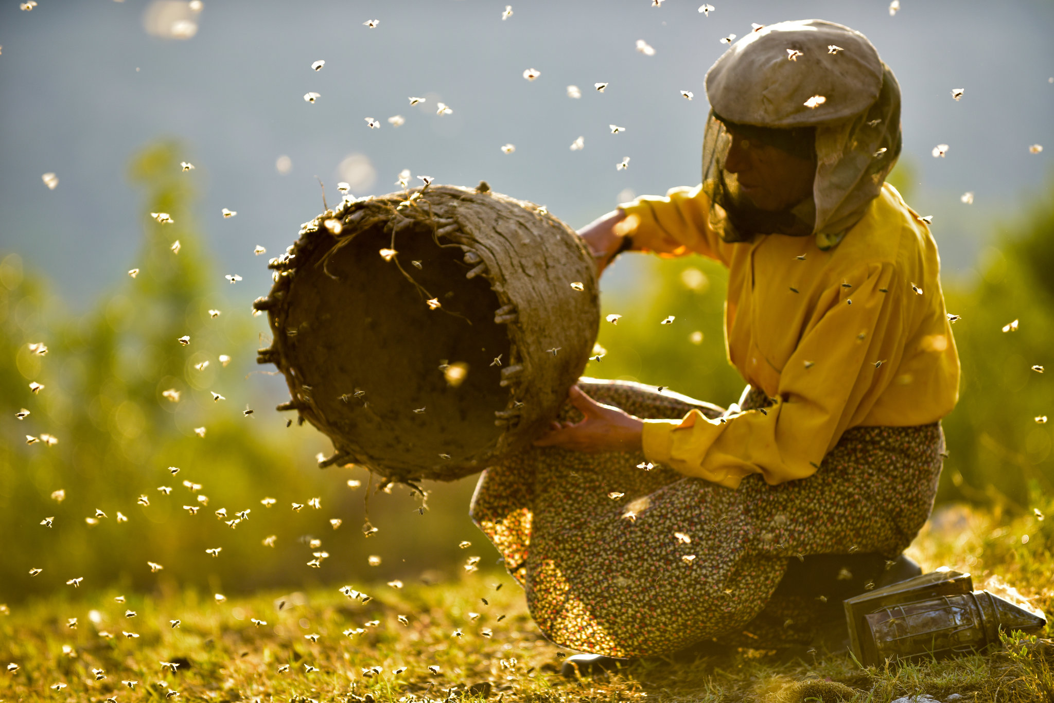 Best Documentaries Honeyland