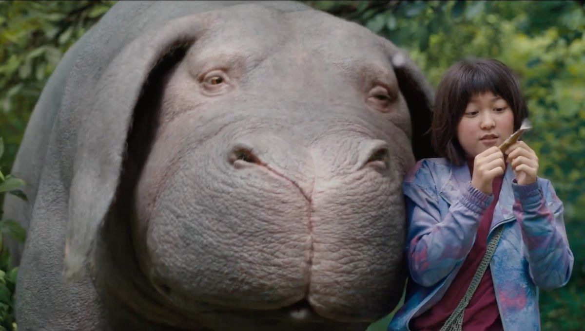 Super Pig in Okja