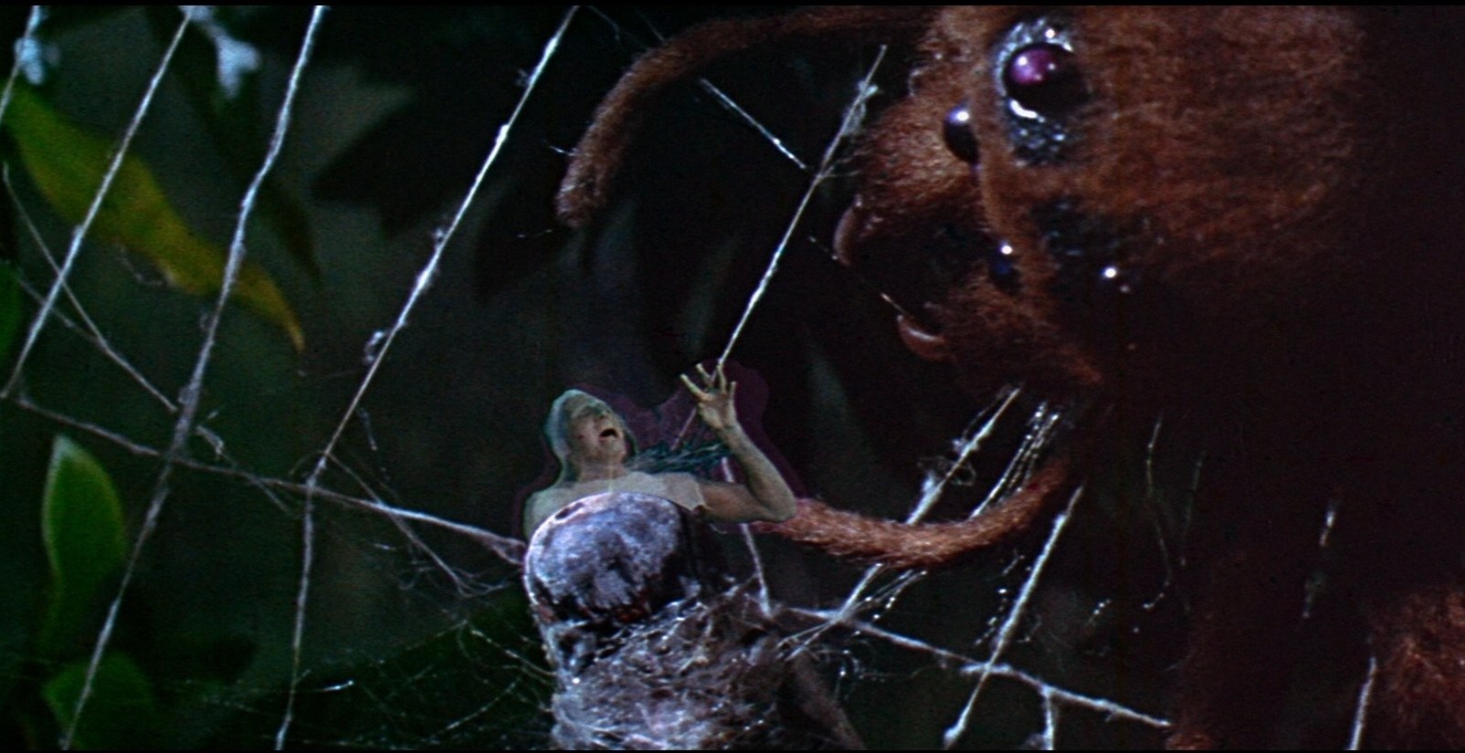 The Fly (1958) Help Me Scene