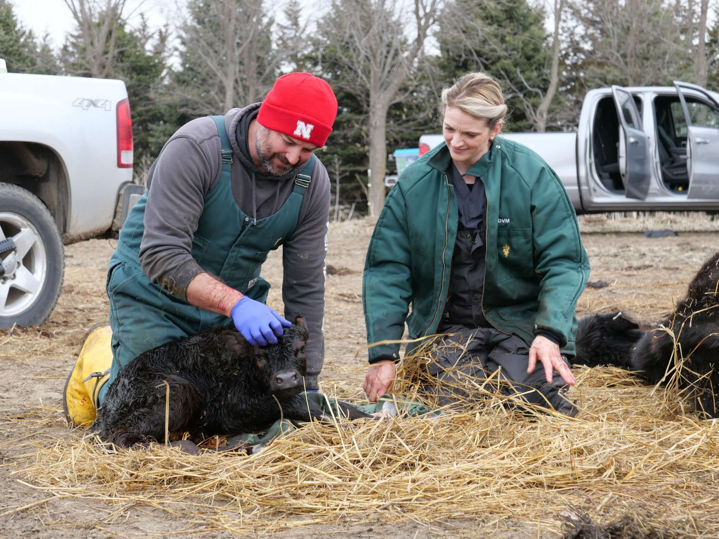 Talking Cattle Goats And Chickens Oh My With Nat Geo Wild S