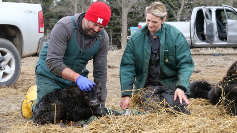 Heartland Docs DVM Ben and Erin Schroeder