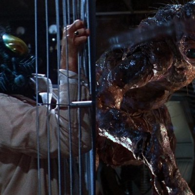 The Fly: 1958 and 1986