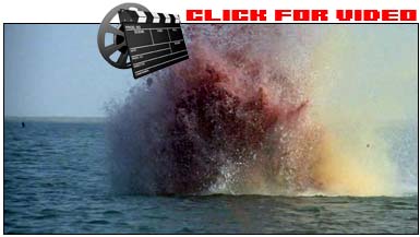 Jaws (1975) - Smile, you son of a bitch.