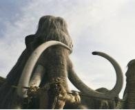 10,000 BC