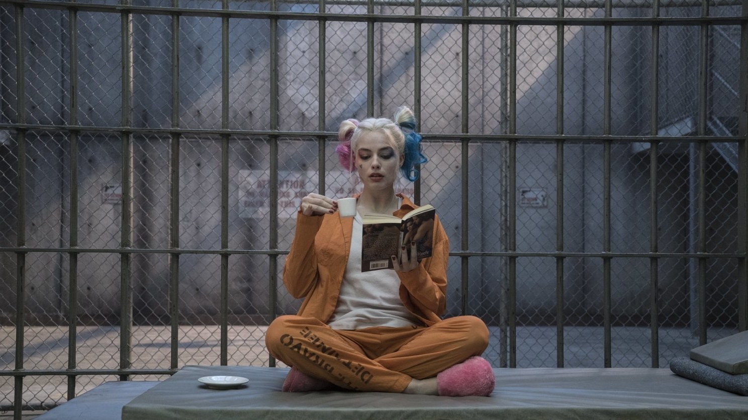 Harley Quinn in DCEU