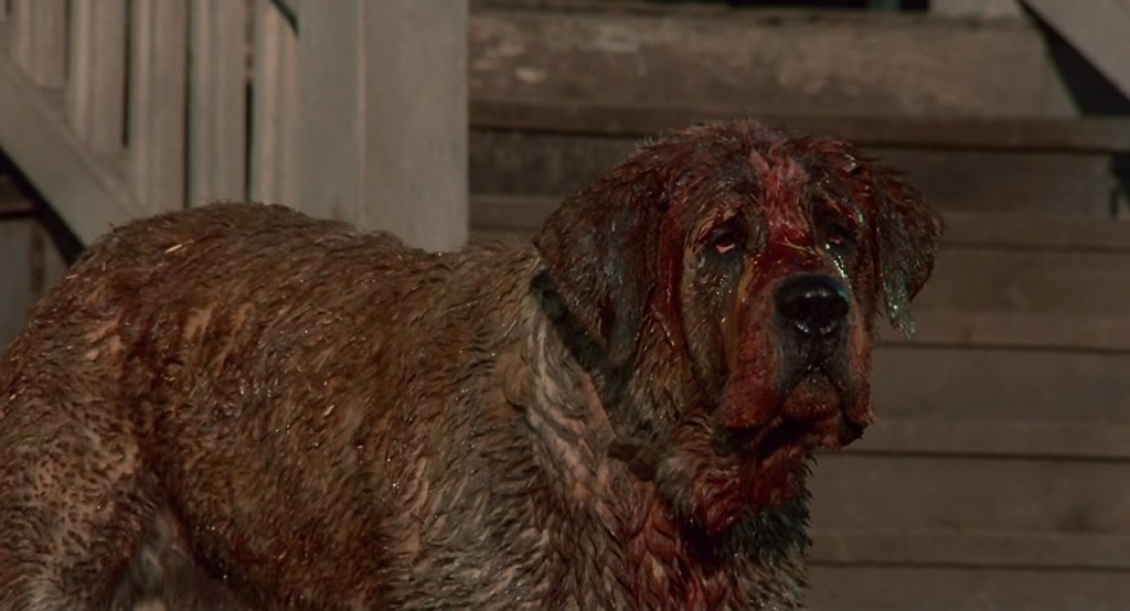 Cujo (1983)