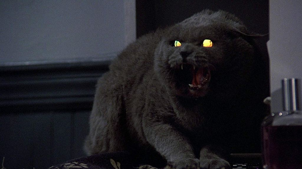 Church the cat in Pet Sematary (1989)