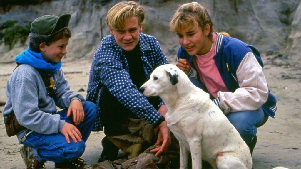 The cast of round the twist
