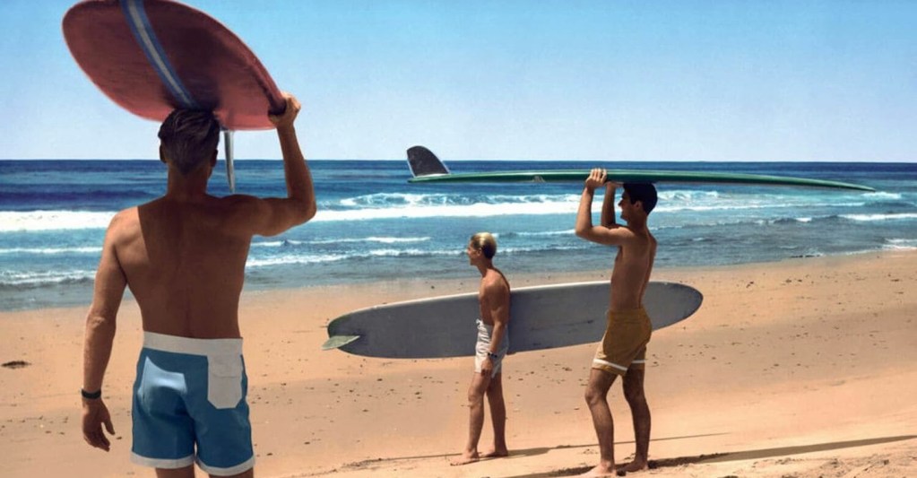 Best Sports Documentaries The Endless Summer