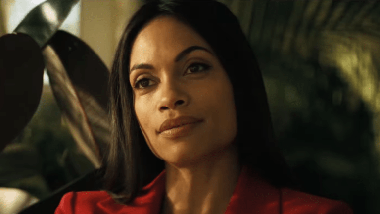 Rosario Dawson In Briarpatch