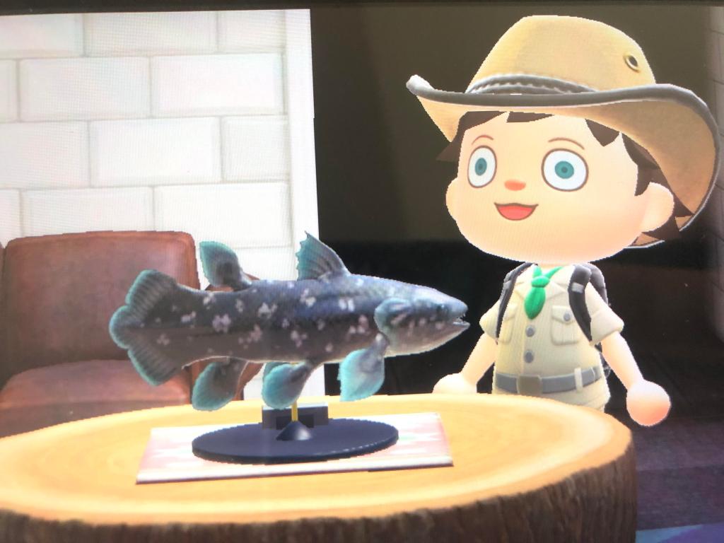 Animal Crossing - Coelacanth Statue