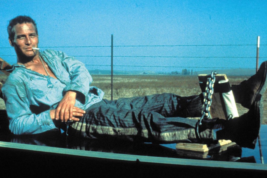 Paul Newman in Cool Hand Luke